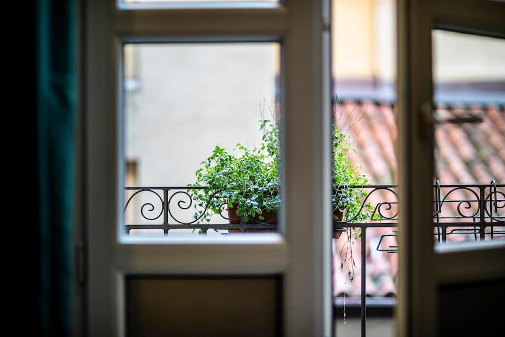 Moleloca - Porta Palatina Apartment